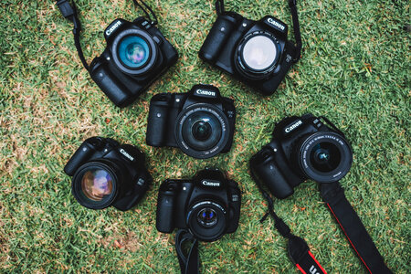 DSLR Cameras