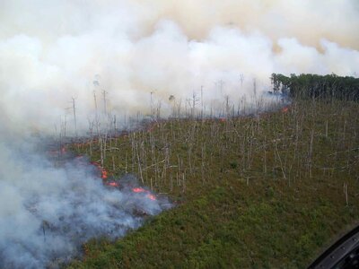 Array burn fire