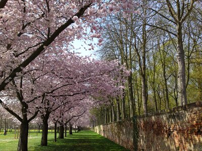 Nature vacations in the free