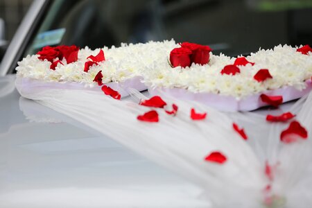 Car decoration veil