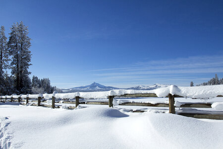 Snow Winter Landscape photo