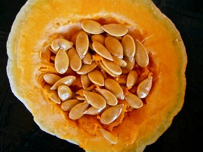 Seed vegetable nature