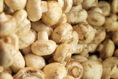 Vegetable fresh white