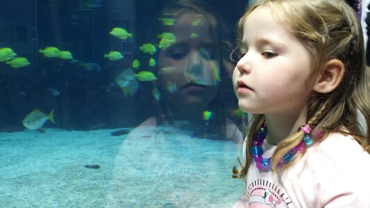 Reflection aquariam kid photo