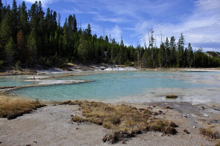 Thermal Field at Yellow Stone National Park photo