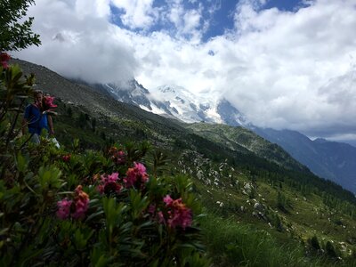 View MontBlanc massif Chamonix snow photo