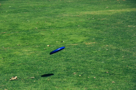 7 Picnic at jumeirah beach park photo