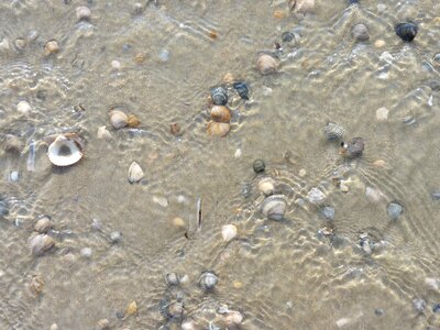 Sand beach surf