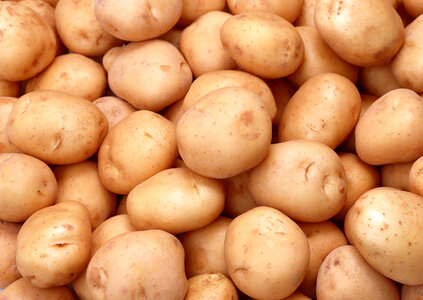 Fresh organic potatoes