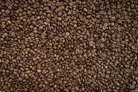 Texture of coffee beans photo