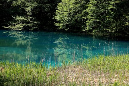 Aquatic coast countryside photo