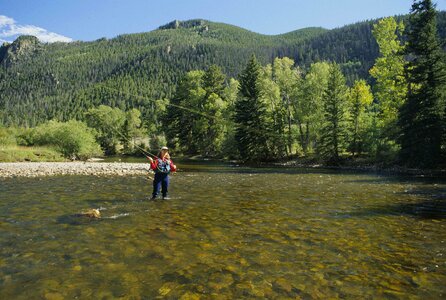 Angler fishery photo