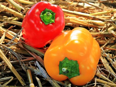 Bell Pepper calorie delicious photo