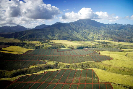Farms, Mountains, and Landscape in Hawaii photo