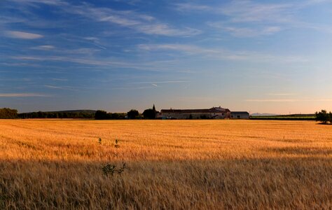 Cornfield europe building photo