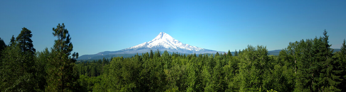 Mount Hood Rising beyond the forest in Oregon photo