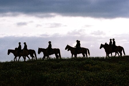 Men riders horses photo