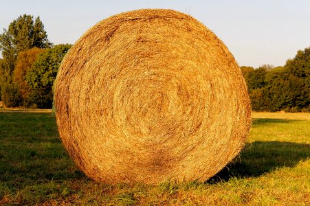 Heurundballen winter feed agriculture