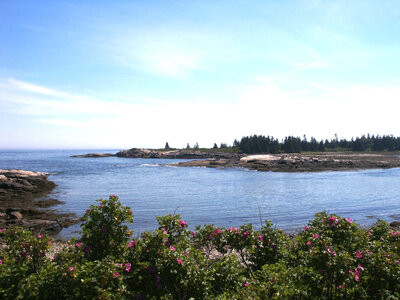 Maine's rocky coast photo