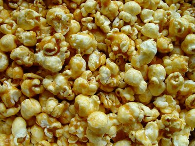 Bliss corn popcorn photo