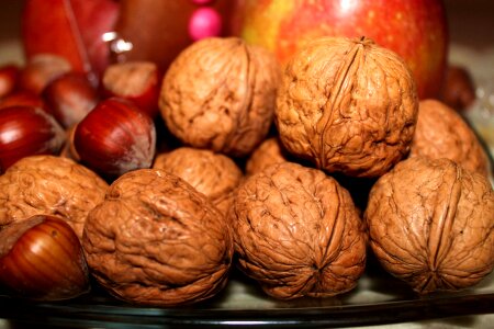 Lots of healthy walnuts photo