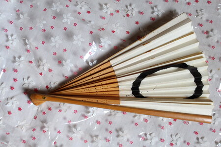 Hand Fan Chinese Japan photo