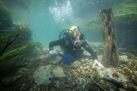 Divers search San Marcos River-2