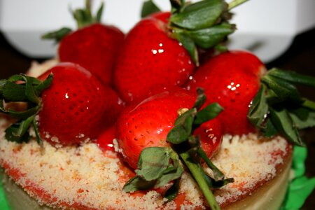 Cheesecake gastronomy food