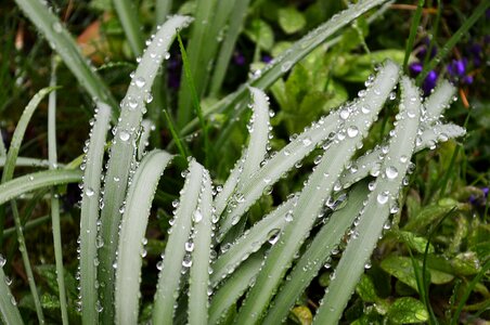 Wet raindrop water