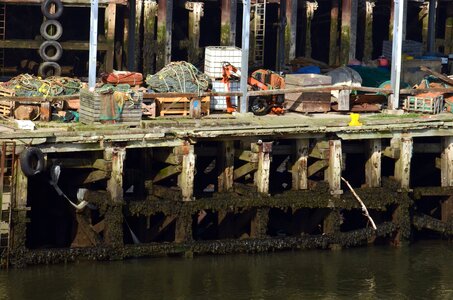 Dock fishing fishing gear photo