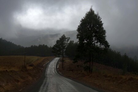 Abies asphalt clouds photo