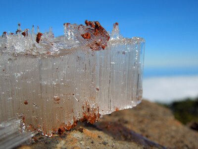 Nature transparent close up