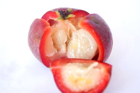 Delicious dessert diet