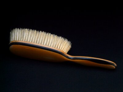 Brush dresses clean