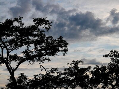 Mood landscape nature