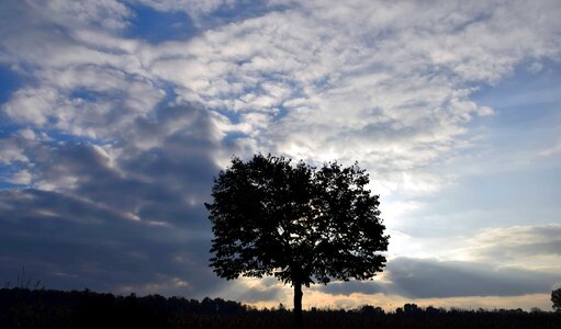 Dusk landscape nature
