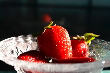 Agriculture berries berry photo