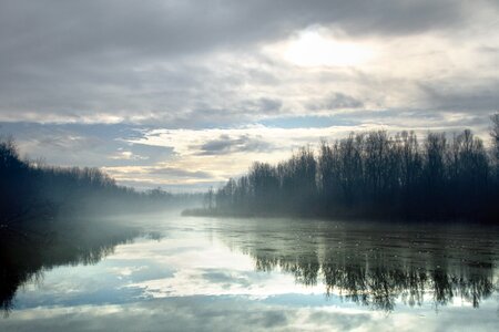 Cold frost nature photo