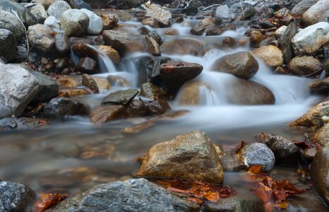 Brook nature torrent photo