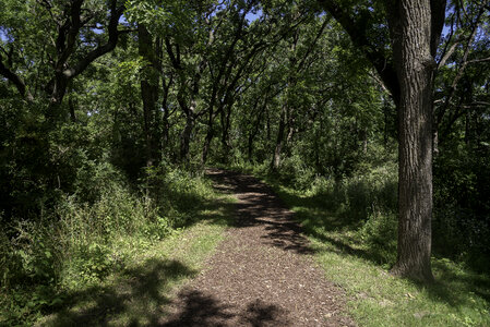 Path to tables in the woods at New Glarus, Brewery photo