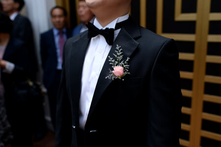 Wedding Groom in Tuxedo photo