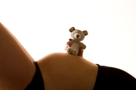 Pregnancy teddy toy photo