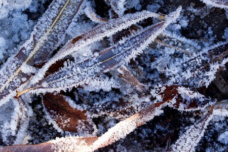 Winter cold transition
