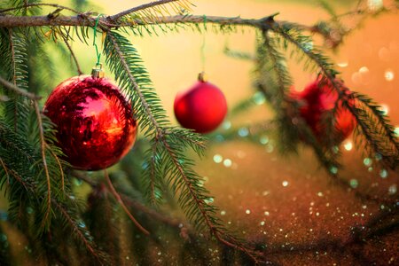 Christmas Tree decorative branches photo