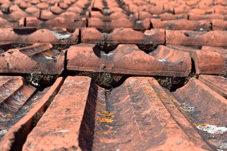 Architecture daylight macro