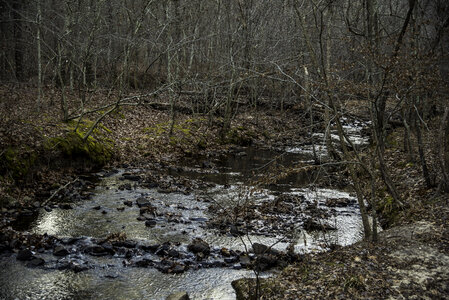 Creek Landscape in the woods at Hawn State Park, Missouri