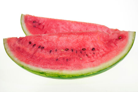 watermelon photo