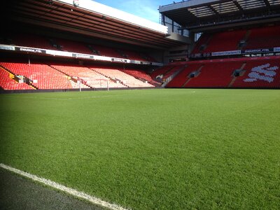 Soccer sport turf