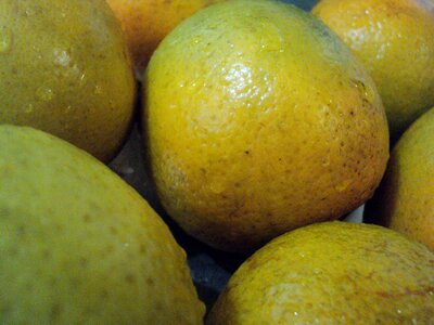 Citrus food fruit