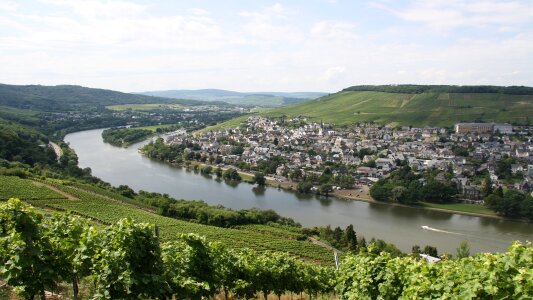 Cask of mosel wine winegrowing vines photo